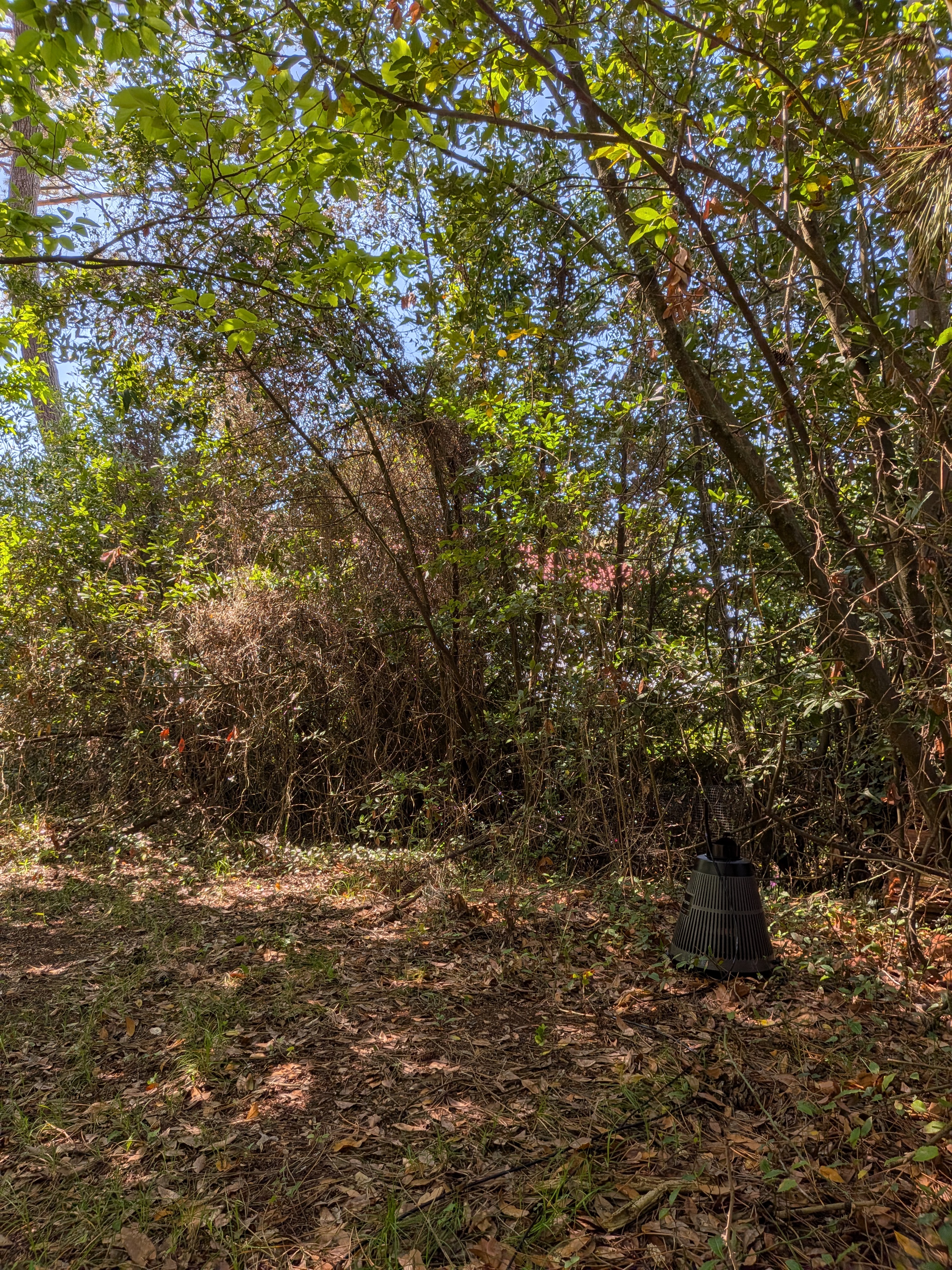 BG-Protector installé dans un massif